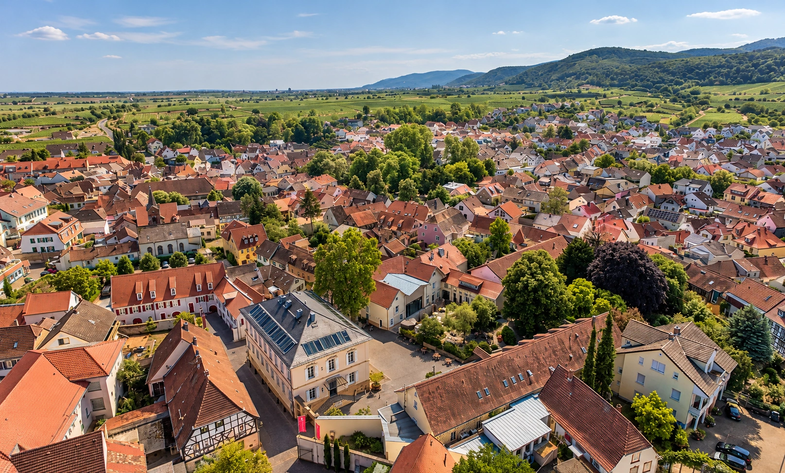 Historische Kernstadt von Deidesheim an der Deutschen Weinstraße – Wohnumfeld und Immobilienstandort
