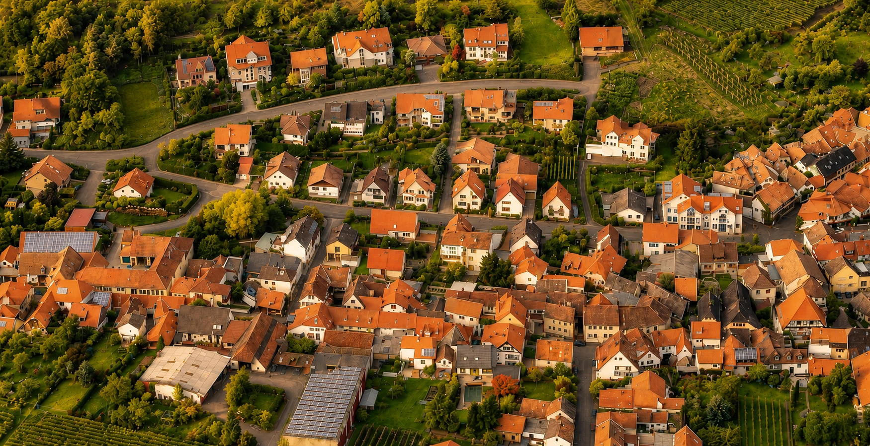 Drohnenaufnahme von Neustadt-Hambach mit Wohngebäuden und Weinbergen – Wohnlage am Haardtrand