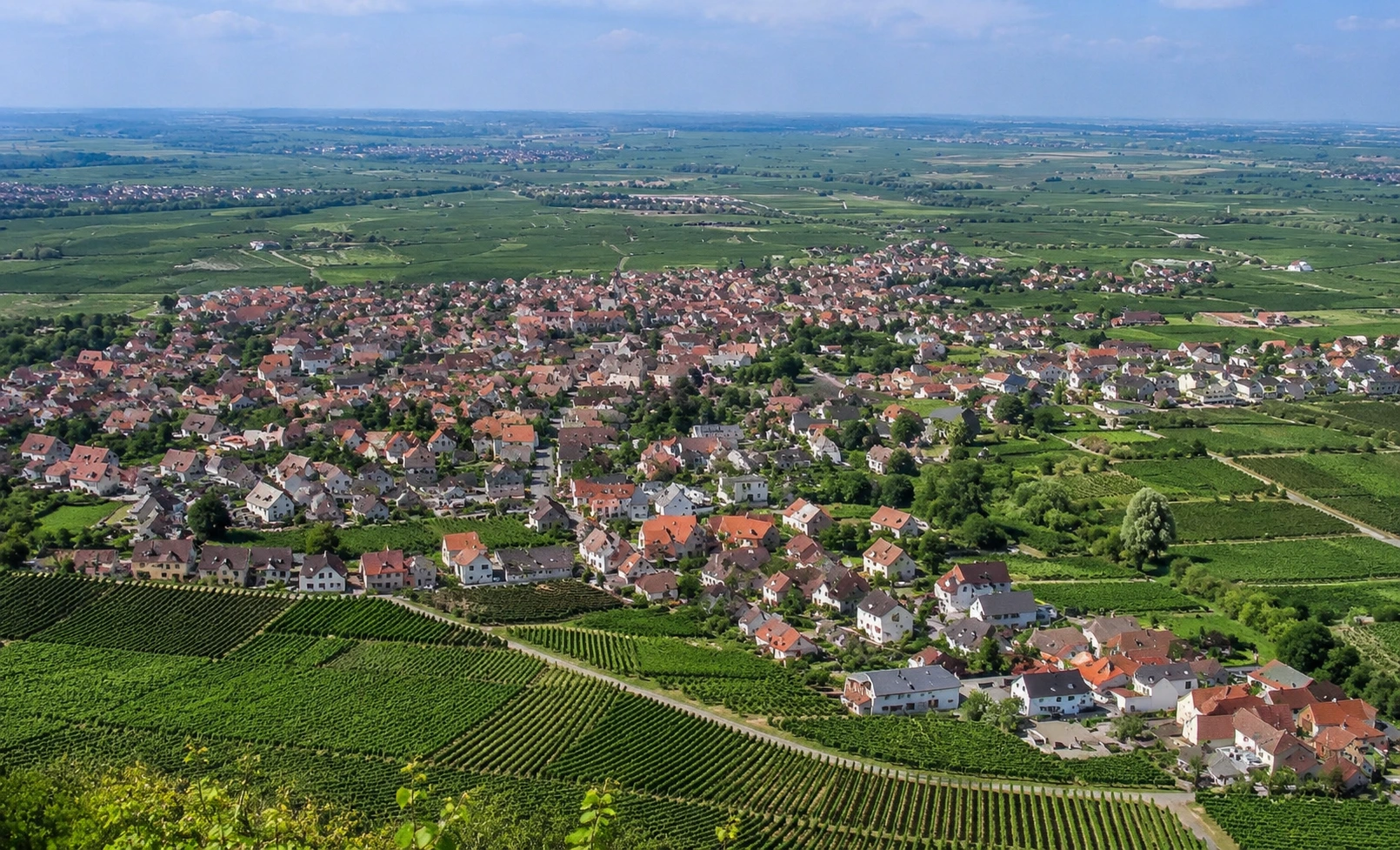 Blick über Neustadt-Diedesfeld und die umliegenden Weinberge