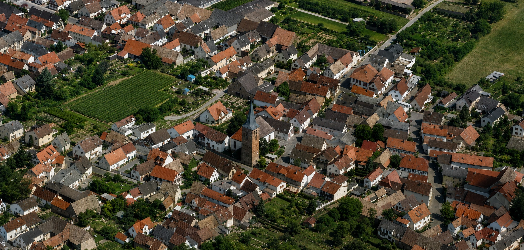 Ortsansicht von Lachen-Speyerdorf bei Neustadt an der Weinstraße mit typischer Bebauung des Weindorfs
